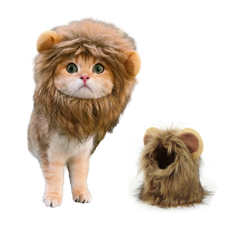 Löwenmähne für Katzen & kleine Hunde