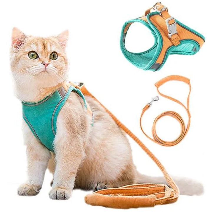 Katzenweste Geschirr Leinen Set – bequem & sicher für Katzen und kleine Hunde