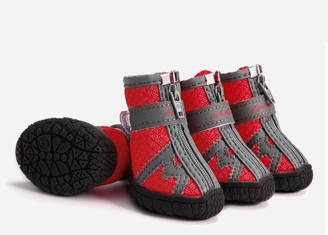 Hundeschuhe für heisses Pflaster und kalte Tage