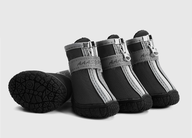 Hundeschuhe für heisses Pflaster und kalte Tage