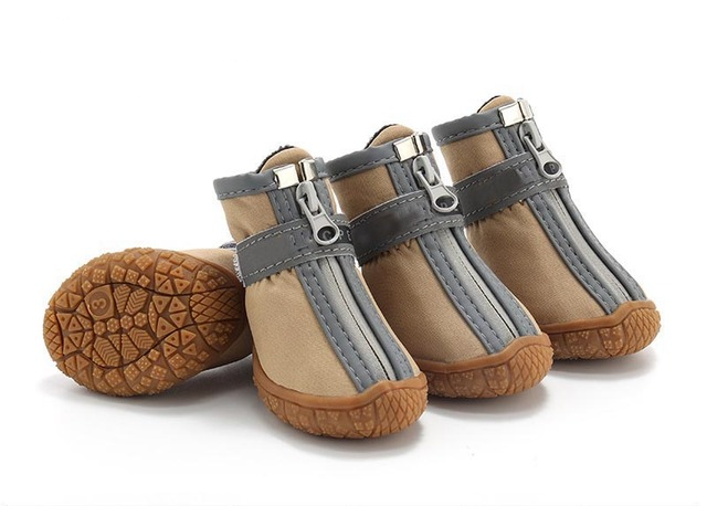 Hundeschuhe für heisses Pflaster und kalte Tage