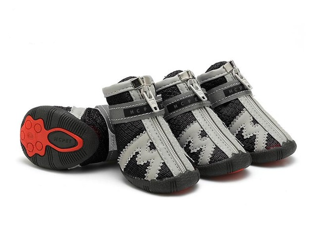 Hundeschuhe für heisses Pflaster und kalte Tage