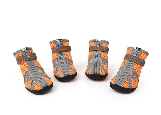 Hundeschuhe für heisses Pflaster und kalte Tage