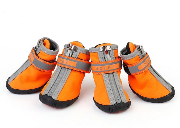 Hundeschuhe für heisses Pflaster und kalte Tage