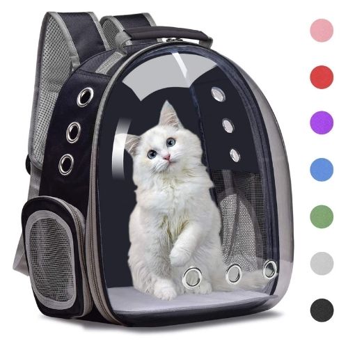Cat Capsule