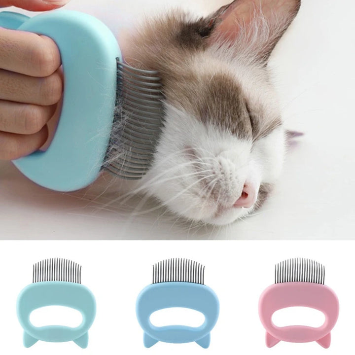 Katzen - Grooming & Massagekamm