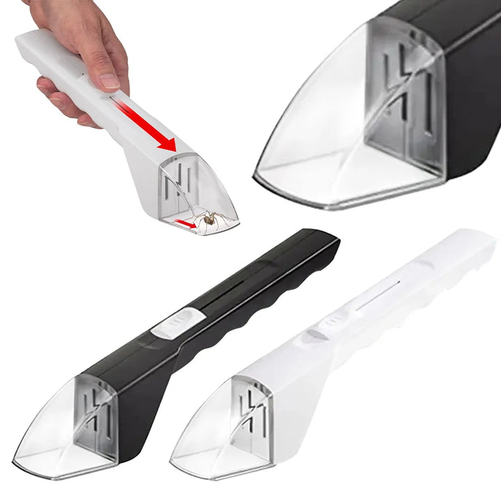 Insektenfänger Transparent