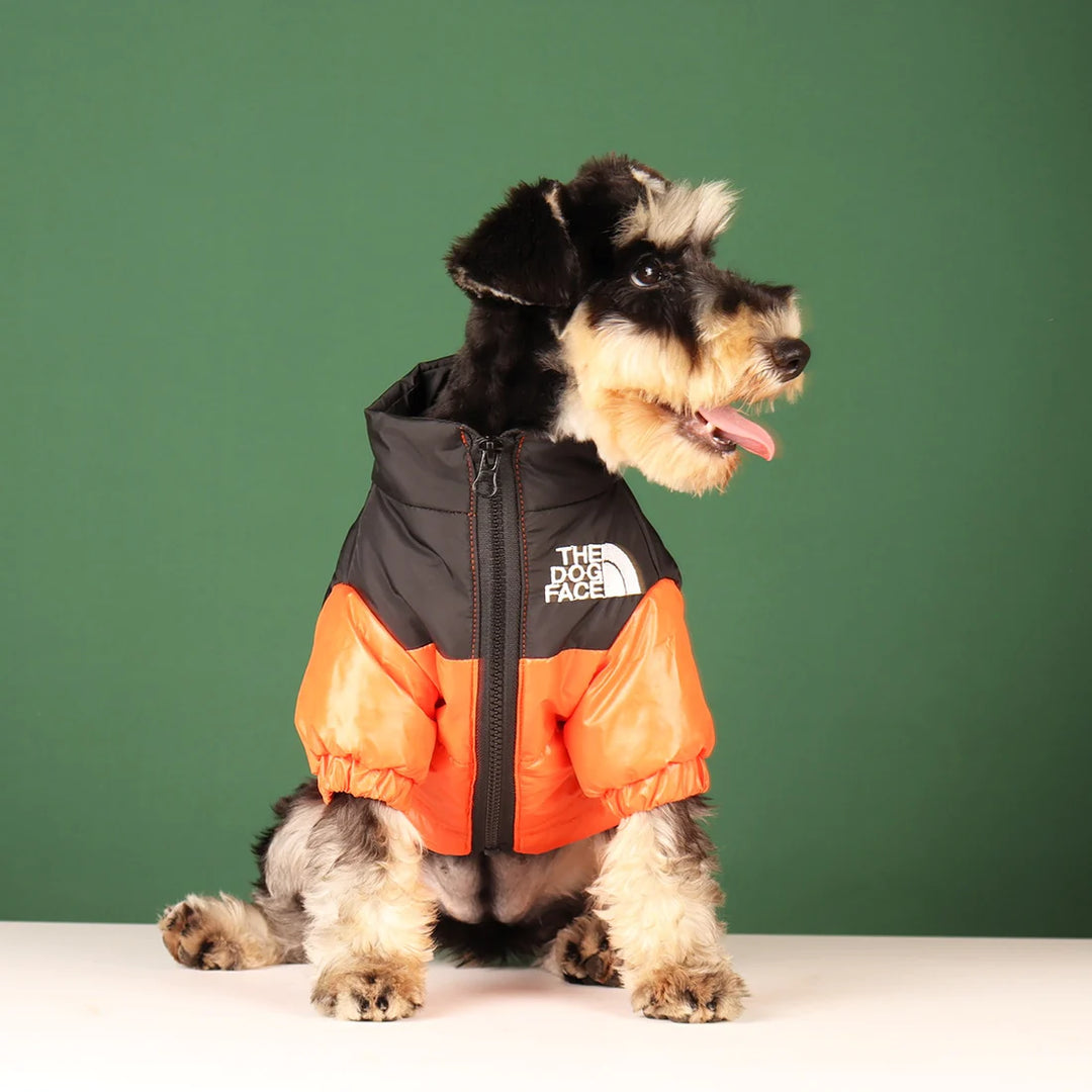 Winddichte Hundejacke - The Dog Face