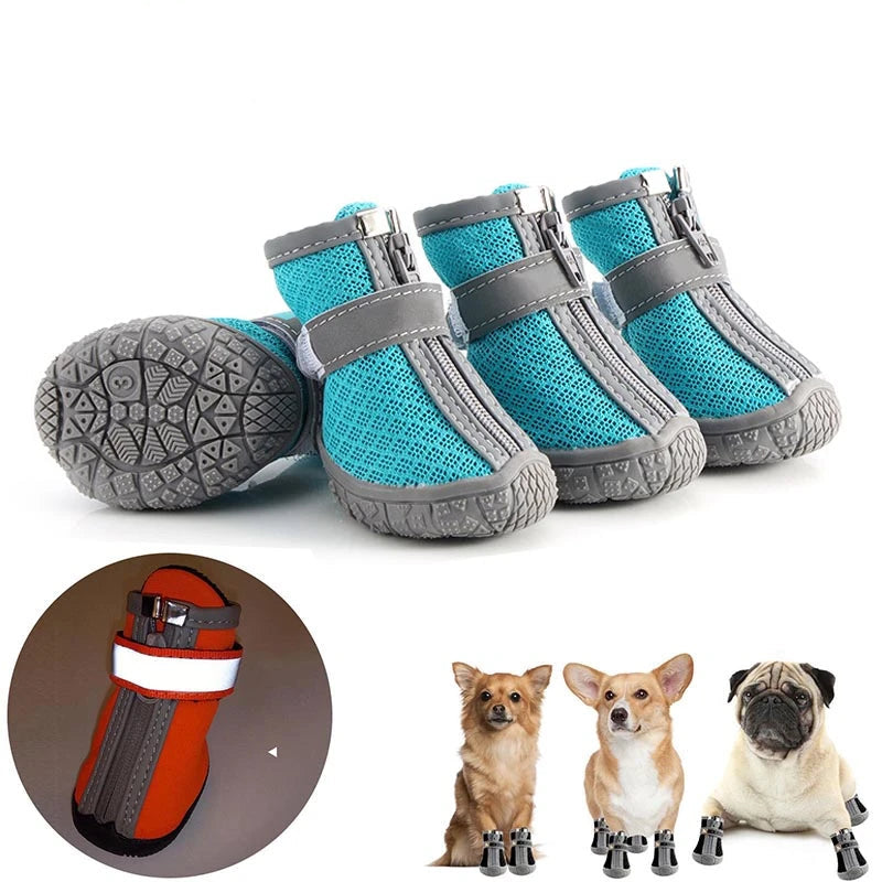 Hundeschuhe für heisses Pflaster und kalte Tage