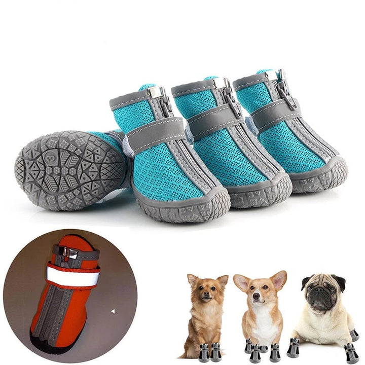 Hundeschuhe für heisses Pflaster und kalte Tage