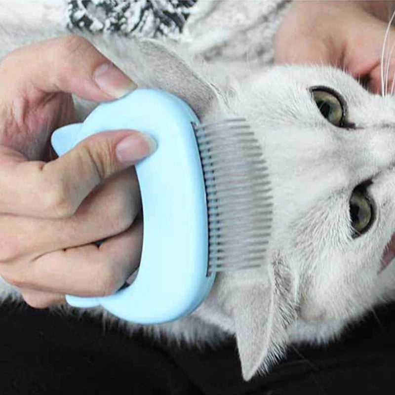 Katzen - Grooming & Massagekamm