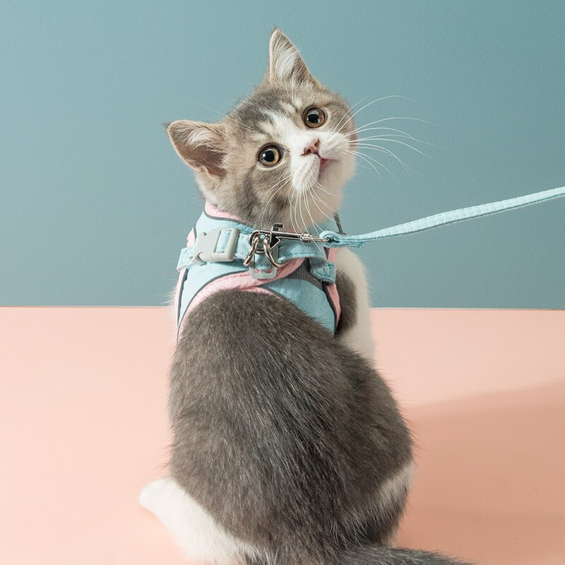 Katzenweste Geschirr Leinen Set – bequem & sicher für Katzen und kleine Hunde