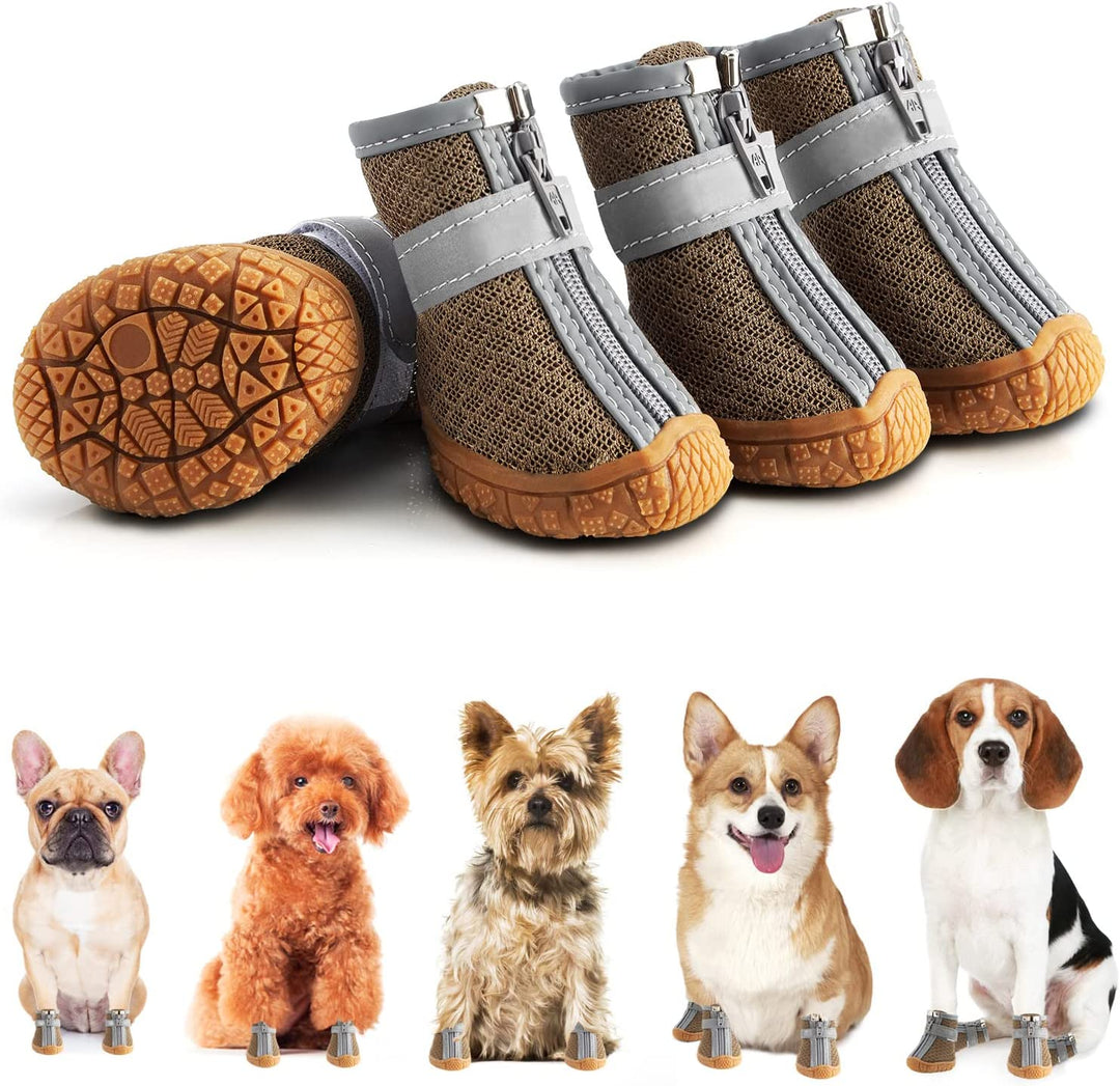 Hundeschuhe für heisses Pflaster und kalte Tage