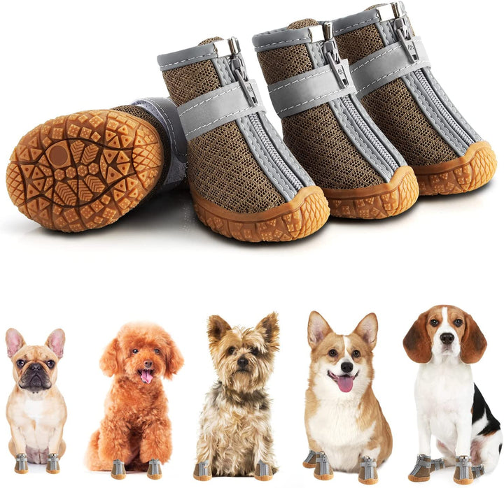 Hundeschuhe für heisses Pflaster und kalte Tage