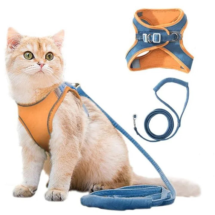 Katzenweste Geschirr Leinen Set – bequem & sicher für Katzen und kleine Hunde