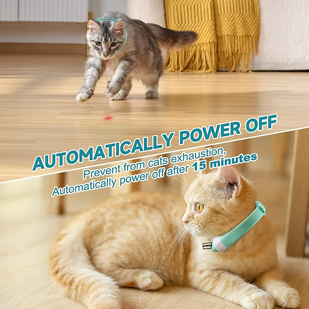 Laser Katzenhalsband
