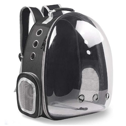 Cat Capsule