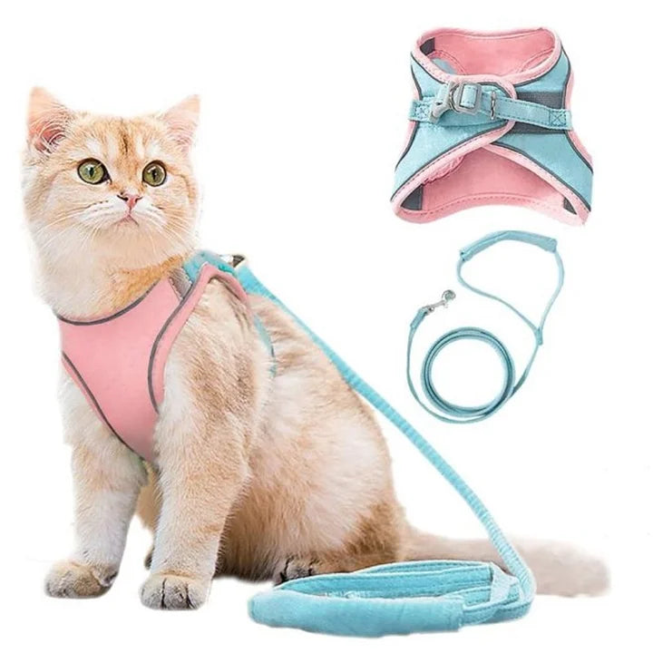 Katzenweste Geschirr Leinen Set – bequem & sicher für Katzen und kleine Hunde