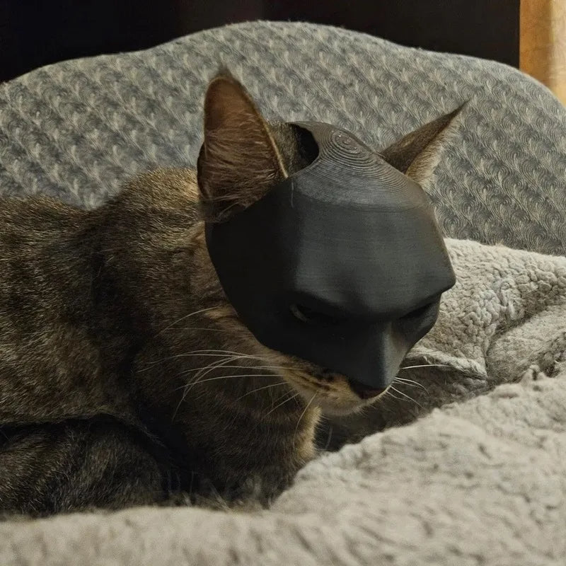 Katzen Fledermaus Maske - Badcat