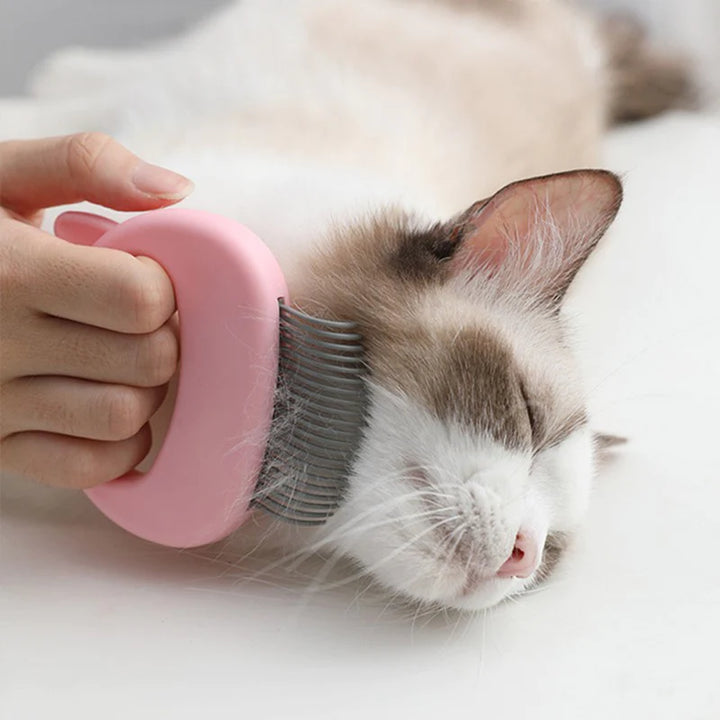 Katzen - Grooming & Massagekamm
