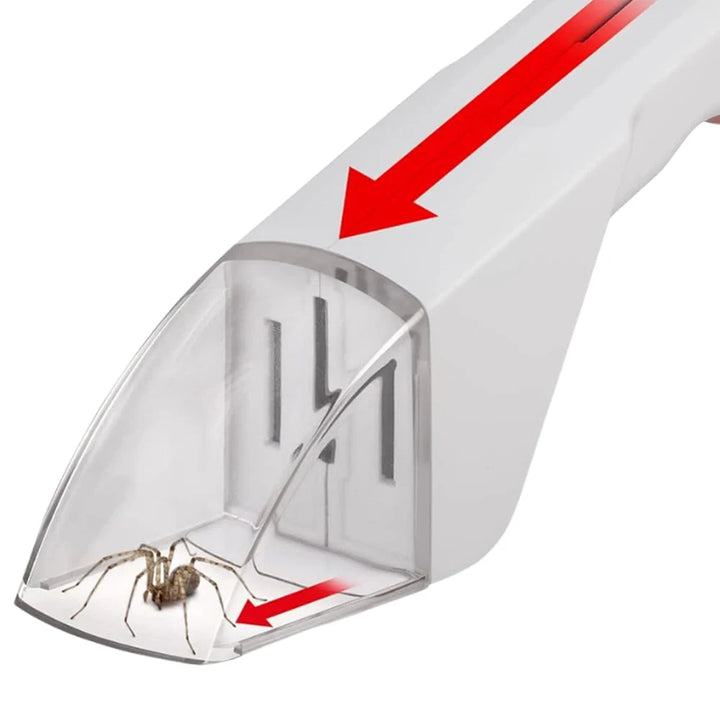 Insektenfänger Transparent