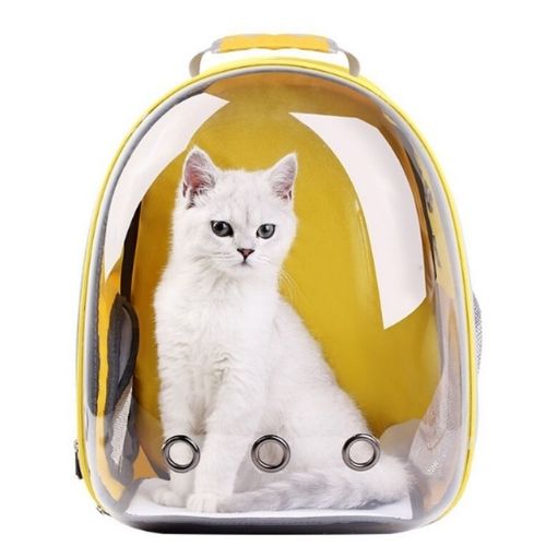 Cat Capsule