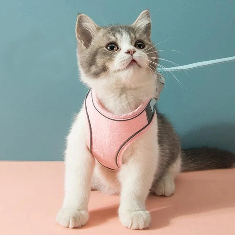 Katzenweste Geschirr Leinen Set – bequem & sicher für Katzen und kleine Hunde
