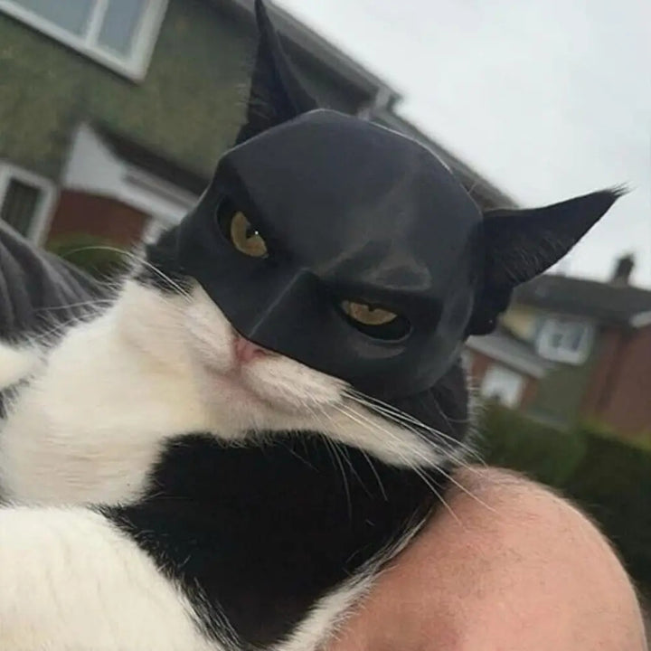 Katzen Fledermaus Maske - Badcat