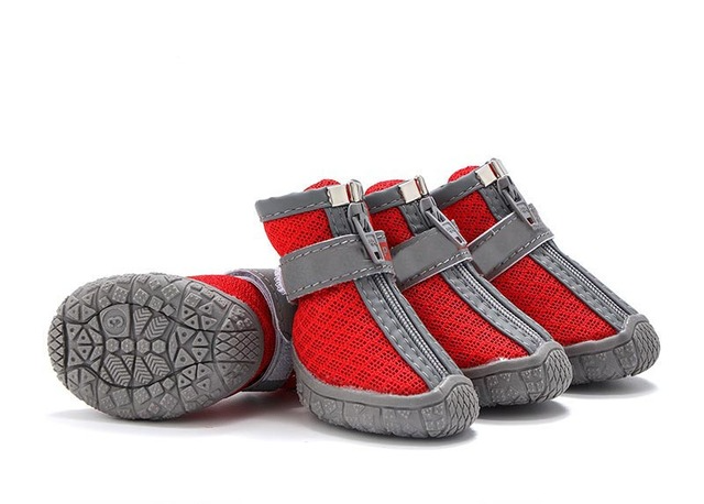 Hundeschuhe für heisses Pflaster und kalte Tage
