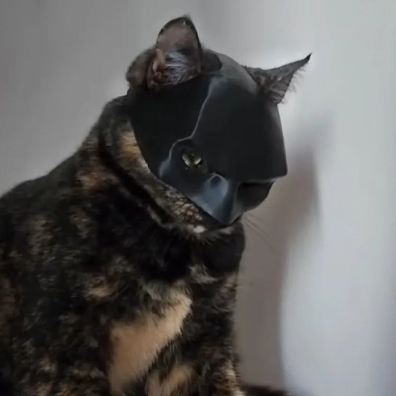 Katzen Fledermaus Maske - Badcat
