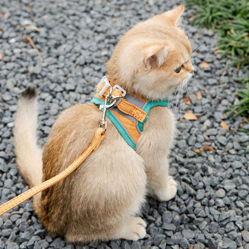 Katzenweste Geschirr Leinen Set – bequem & sicher für Katzen und kleine Hunde
