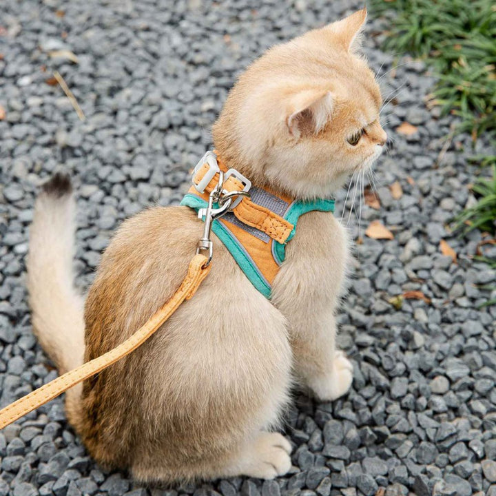Katzenweste Geschirr Leinen Set – bequem & sicher für Katzen und kleine Hunde