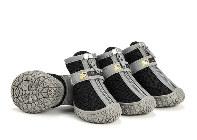 Hundeschuhe für heisses Pflaster und kalte Tage